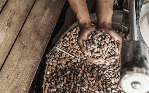 découvrez le chocolat durable, une délicieuse alternative respectueuse de l'environnement, alliant qualité et savoir-faire. savourez des produits issus de l'agriculture éthique qui préservent la planète tout en vous offrant une expérience gustative unique.