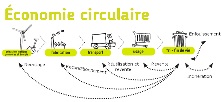 découvrez comment l'économie circulaire transforme notre approche de la durabilité, en optimisant l'utilisation des ressources, en réduisant les déchets et en favorisant une croissance respectueuse de l'environnement. apprenez les principes clés et les initiatives innovantes qui façonnent un avenir durable.